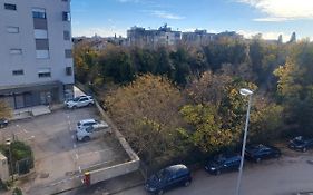 Apartment Rio